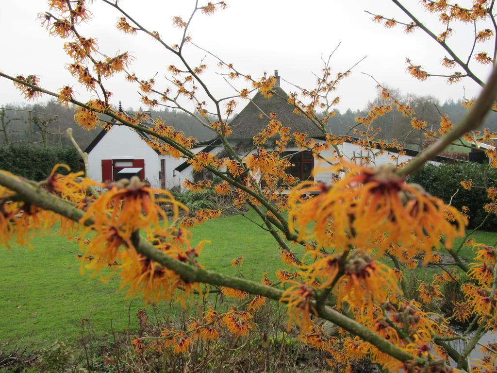 赫特巴克赫伊斯住宿加早餐旅馆 Loenen 客房 照片
